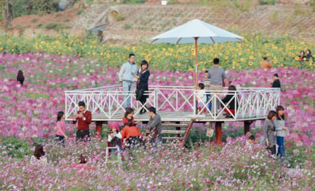 Experience in going to Red River Rock Garden