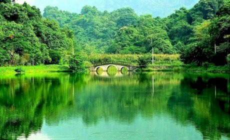 Experience in exploring Cuc Phuong National Park