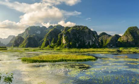 Experience traveling to Van Long Lagoon - Ninh Binh